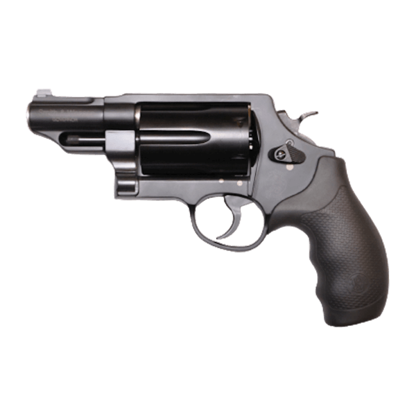 sw govenor 45acp